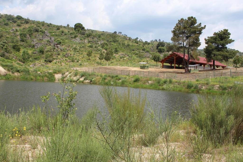 Вилла Quinta Vale Da Prata Селорику-да-Бейра Экстерьер фото