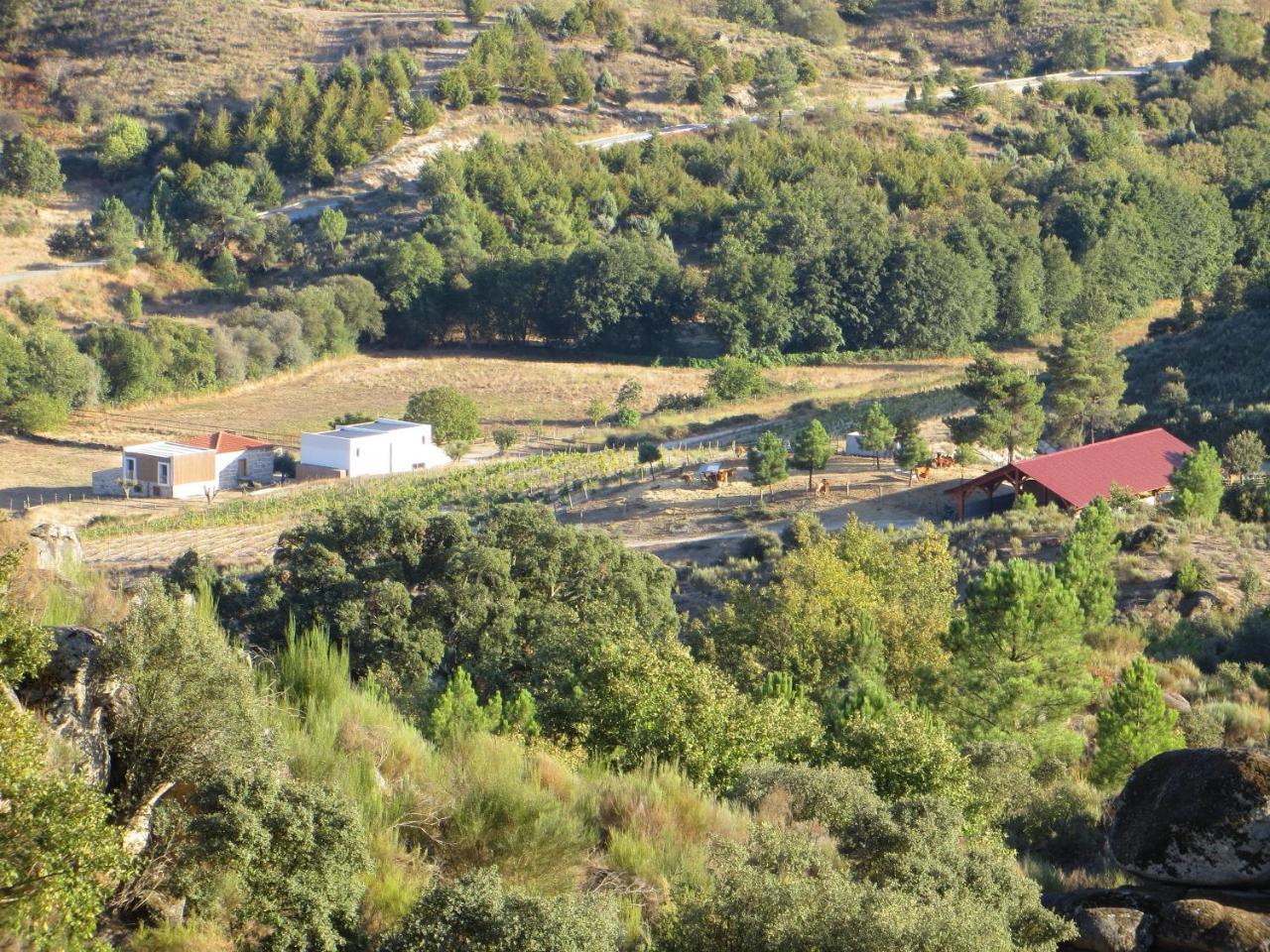 Вилла Quinta Vale Da Prata Селорику-да-Бейра Экстерьер фото